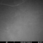 Oct 27 2025  3:00:30, #01