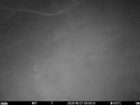 Oct 27 2025  3:00:30, #01