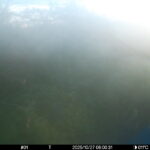 Oct 27 2025  6:00:31, #01