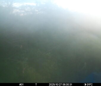 Oct 27 2025  6:00:31, #01