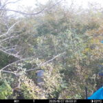 Oct 27 2025  9:00:31, #01