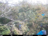 Oct 27 2025  9:00:31, #01