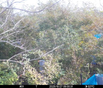 Oct 27 2025  9:00:31, #01