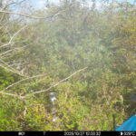 Oct 27 2025 12:00:32, #01