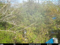 Oct 27 2025 12:00:32, #01