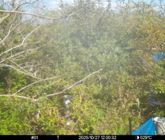 Oct 27 2025 12:00:32, #01