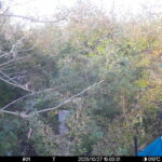 Oct 27 2025 15:00:31, #01