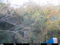 Oct 27 2025 15:00:31, #01