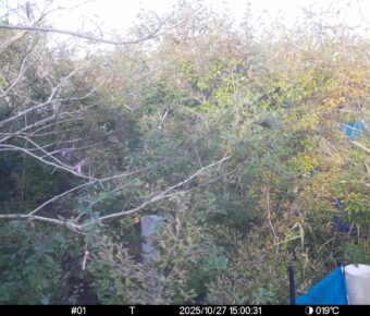 Oct 27 2025 15:00:31, #01