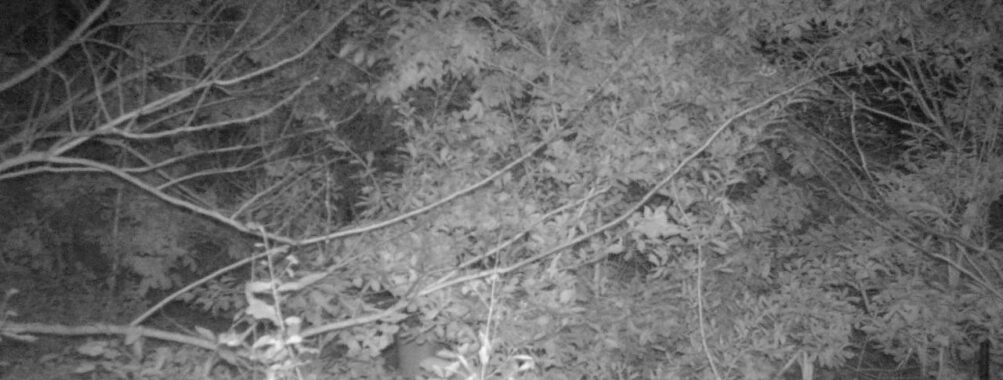 Oct 27 2025 18:00:30, #01