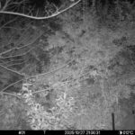 Oct 27 2025 21:00:31, #01