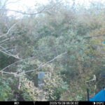 Oct 28 2025  6:00:32, #01