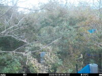 Oct 28 2025  6:00:32, #01