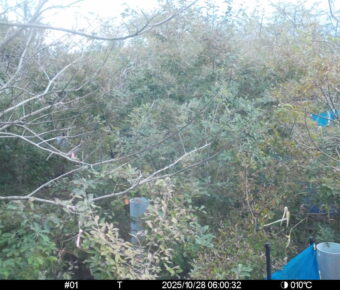 Oct 28 2025  6:00:32, #01