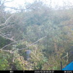 Oct 28 2025  9:00:31, #01