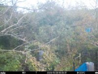 Oct 28 2025  9:00:31, #01