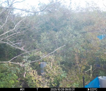 Oct 28 2025  9:00:31, #01