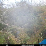 Oct 28 2025 12:00:31, #01