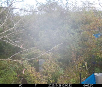 Oct 28 2025 12:00:31, #01