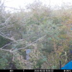 Oct 28 2025 15:00:32, #01