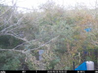 Oct 28 2025 15:00:32, #01