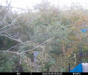 Oct 28 2025 15:00:32, #01