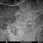 Oct 29 2025  0:00:31, #01