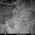 Oct 29 2025  3:00:31, #01