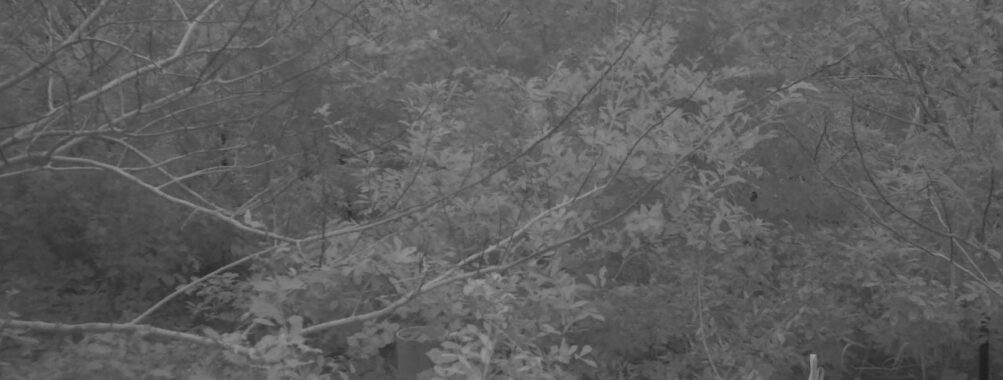 Oct 29 2025  6:00:32, #01