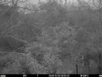 Oct 29 2025  6:00:32, #01