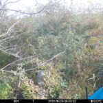 Oct 29 2025  9:00:32, #01