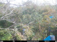 Oct 29 2025  9:00:32, #01