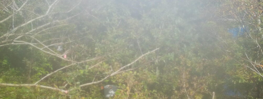 Oct 29 2025 12:00:31, #01