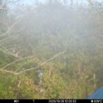 Oct 29 2025 12:00:31, #01