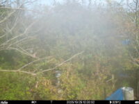 Oct 29 2025 12:00:31, #01