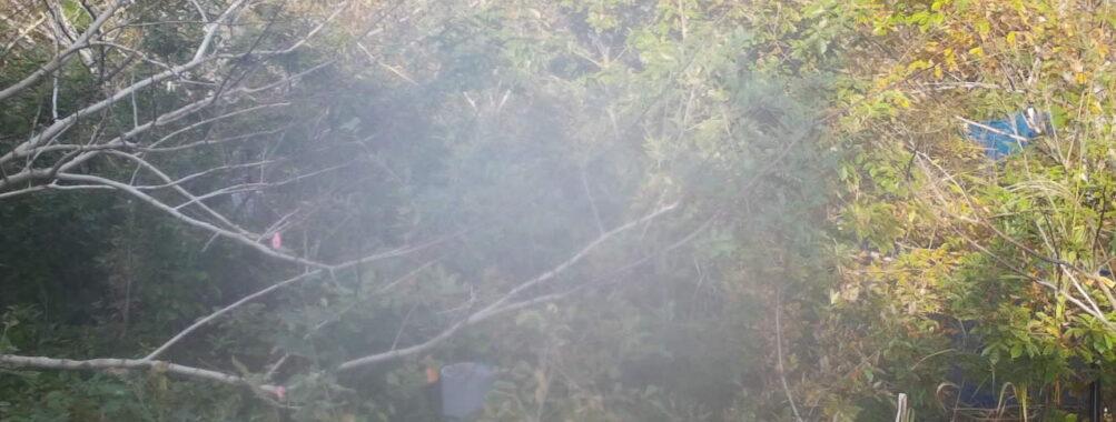 Oct 29 2025 15:00:32, #01