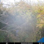 Oct 29 2025 15:00:32, #01