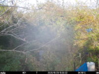 Oct 29 2025 15:00:32, #01