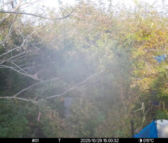 Oct 29 2025 15:00:32, #01