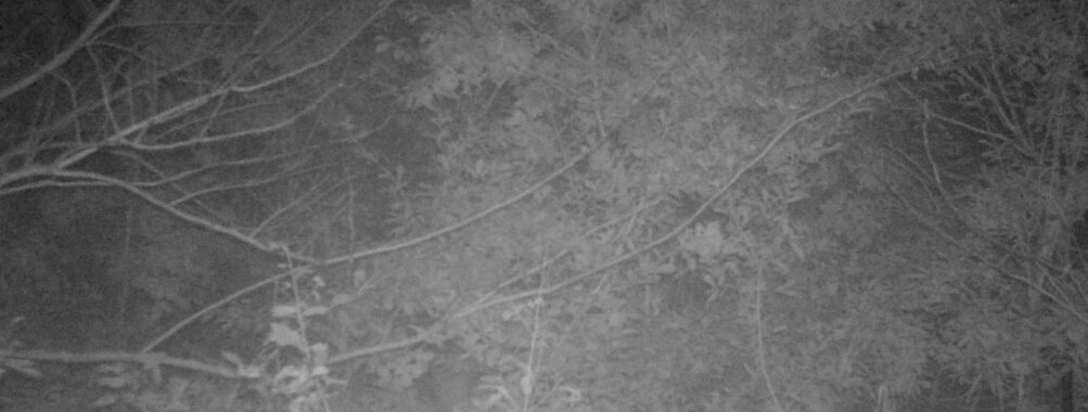 Oct 29 2025 21:00:31, #01