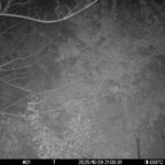 Oct 29 2025 21:00:31, #01