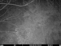 Oct 29 2025 21:00:31, #01