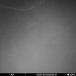 Oct 30 2025  3:00:31, #01