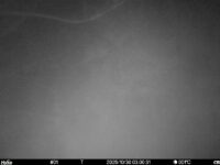 Oct 30 2025  3:00:31, #01