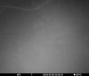 Oct 30 2025  3:00:31, #01