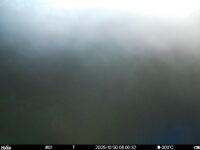 Oct 30 2025  6:00:32, #01