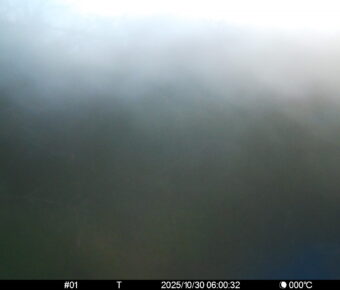 Oct 30 2025  6:00:32, #01