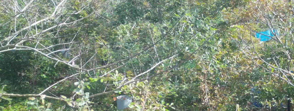 Oct 30 2025  9:00:32, #01