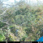 Oct 30 2025  9:00:32, #01