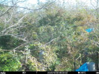 Oct 30 2025  9:00:32, #01